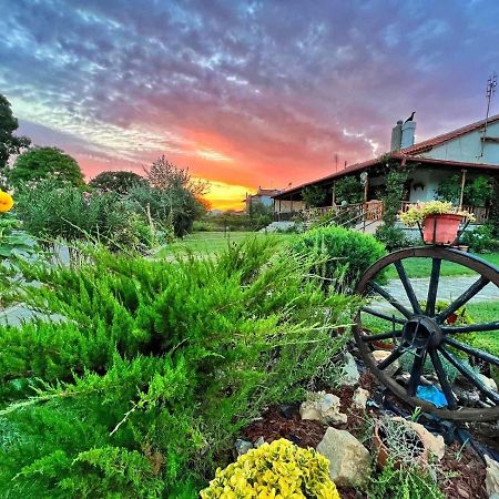 Ivonnis Garden Villa Mesimvria  ภายนอก รูปภาพ
