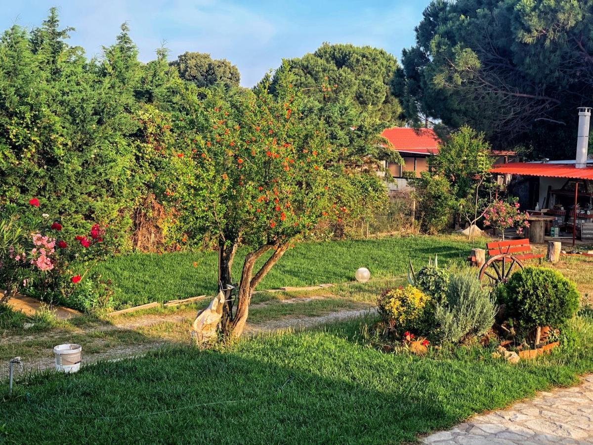 Ivonnis Garden Villa Mesimvria  ภายนอก รูปภาพ