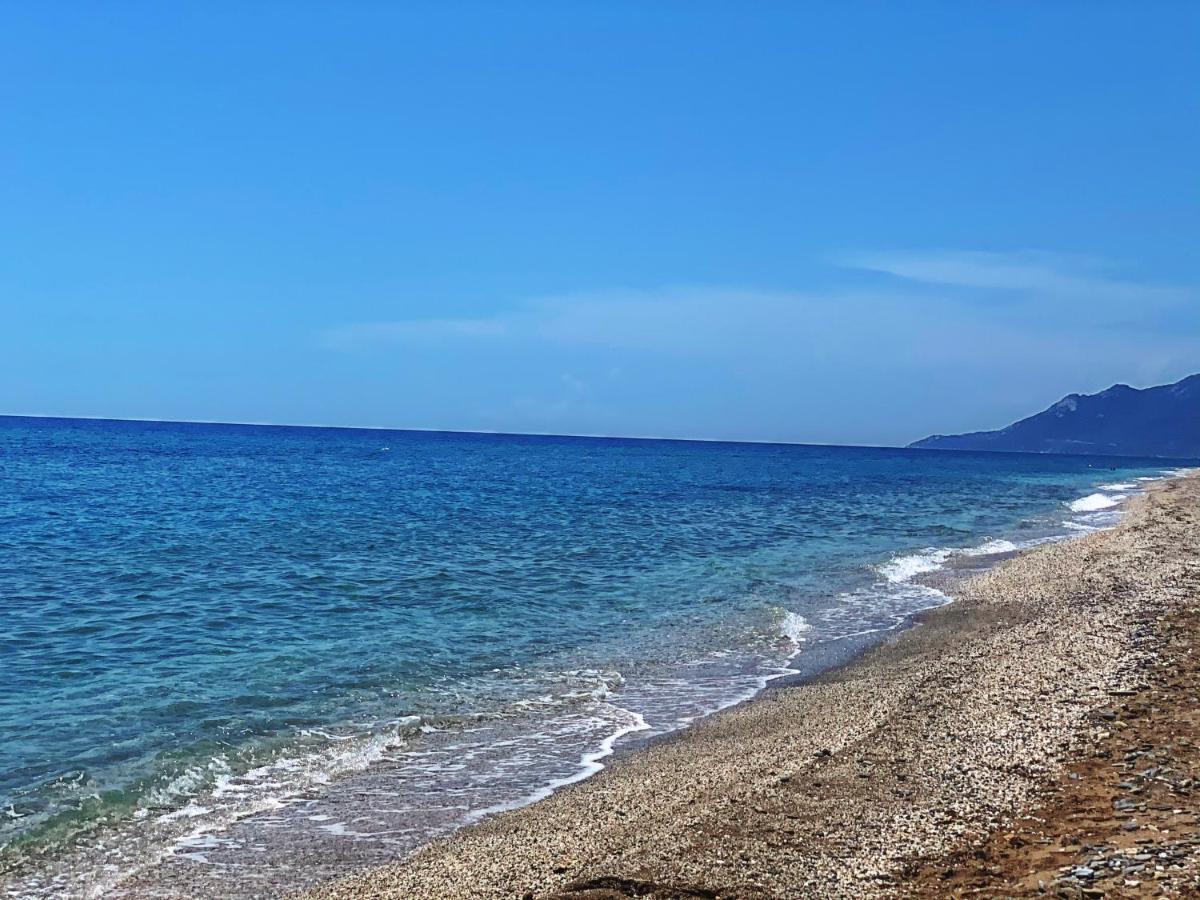 Ivonnis Garden Villa Mesimvria  ภายนอก รูปภาพ