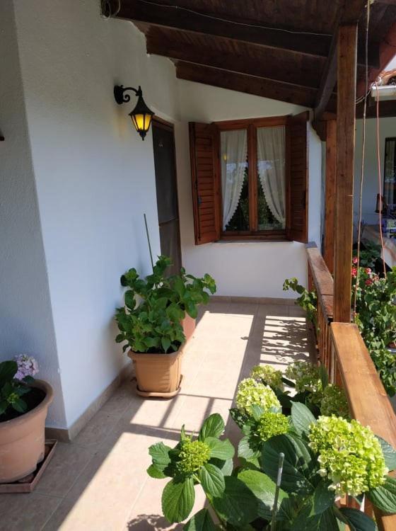 Ivonnis Garden Villa Mesimvria  ภายนอก รูปภาพ