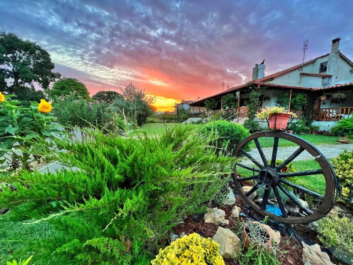 Ivonnis Garden Villa Mesimvria  ภายนอก รูปภาพ