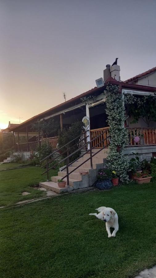 Ivonnis Garden Villa Mesimvria  ภายนอก รูปภาพ