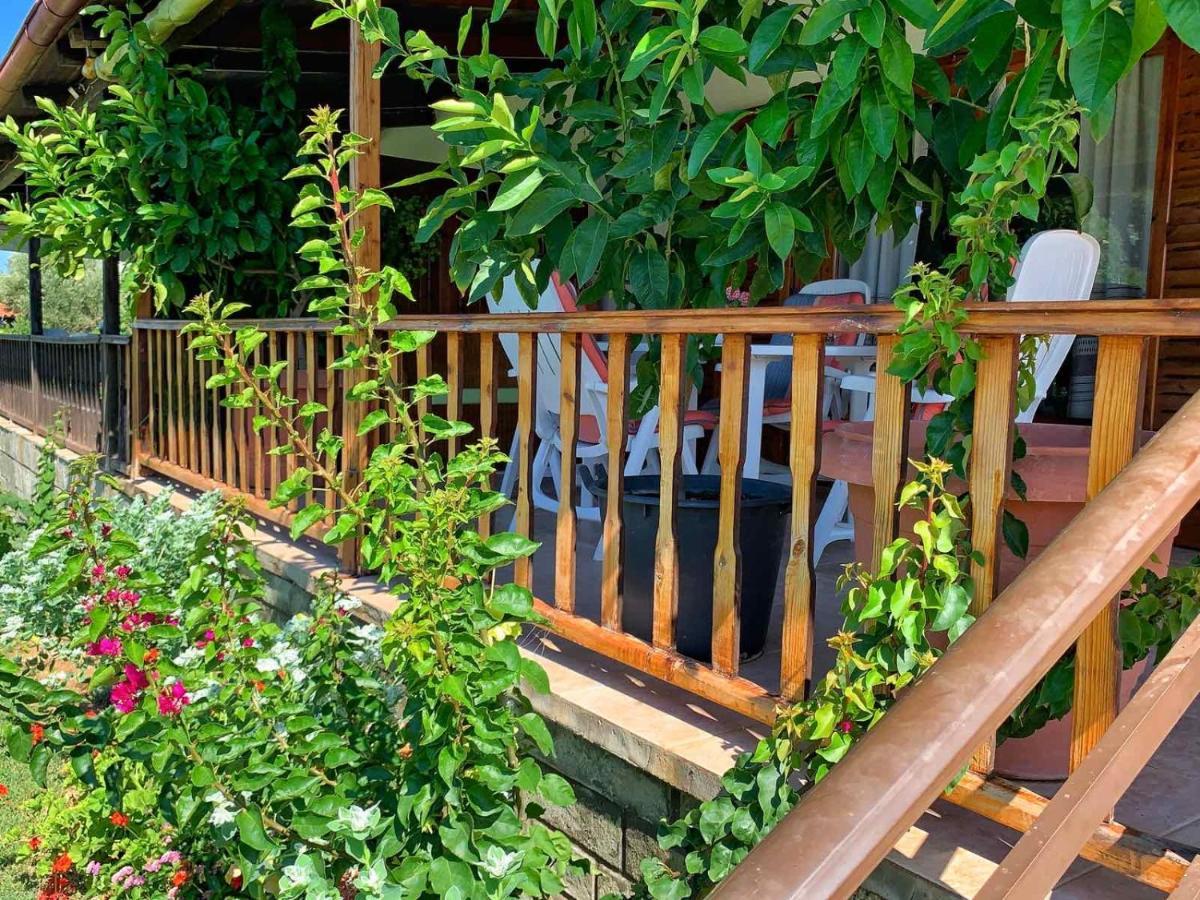 Ivonnis Garden Villa Mesimvria  ภายนอก รูปภาพ