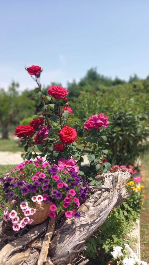 Ivonnis Garden Villa Mesimvria  ภายนอก รูปภาพ