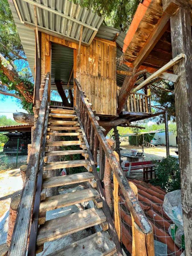 Ivonnis Garden Villa Mesimvria  ภายนอก รูปภาพ