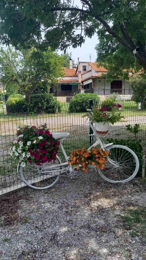 Ivonnis Garden Villa Mesimvria  ภายนอก รูปภาพ